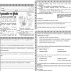 O Pescador e o Gênio Atividades para Ensino Fundamental