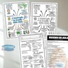 A construção de Brasília