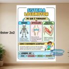 sistema locomotor